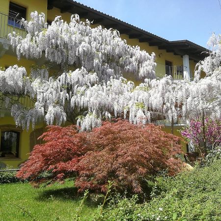 Agriturismo Tra Serra E Lago Roppolo Eksteriør billede